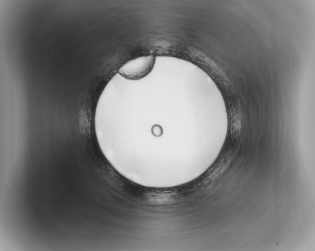 X0000100910661200807220951