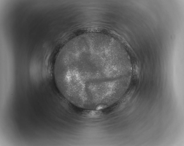 X0000100910663200807220952