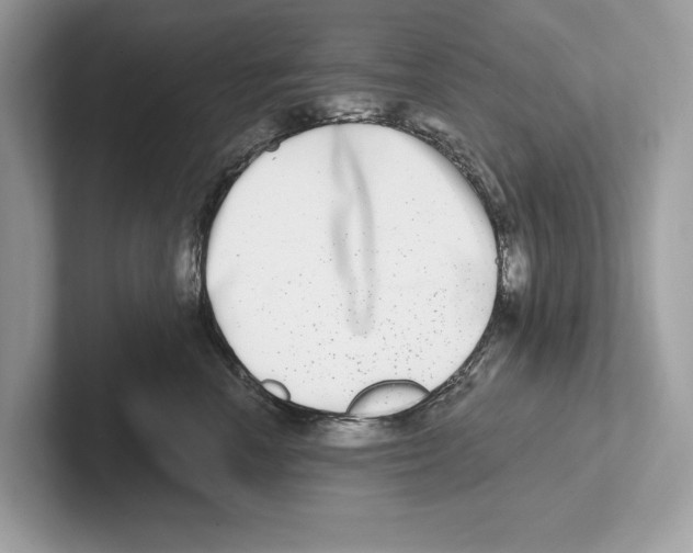 X0000100910666200807220952