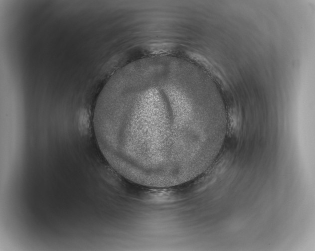 X0000100910667200807220952