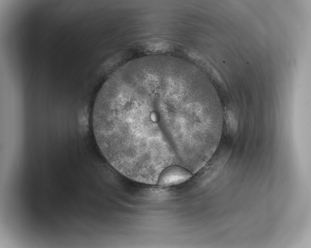 X0000100910668200807220952