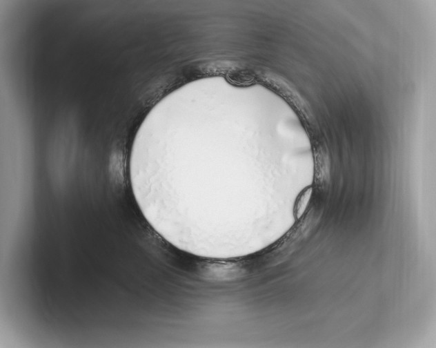 X0000100910669200807220952