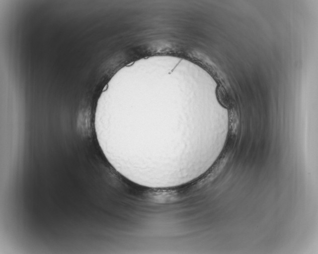 X0000100910670200807220952