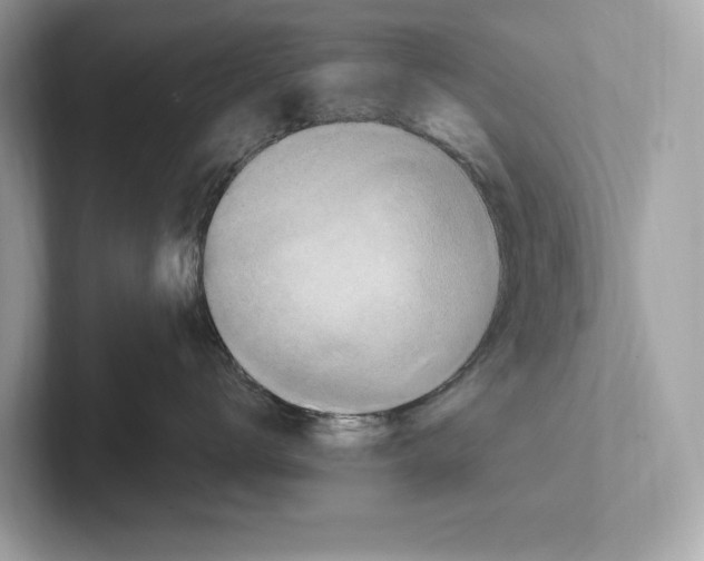 X0000100910672200807220952