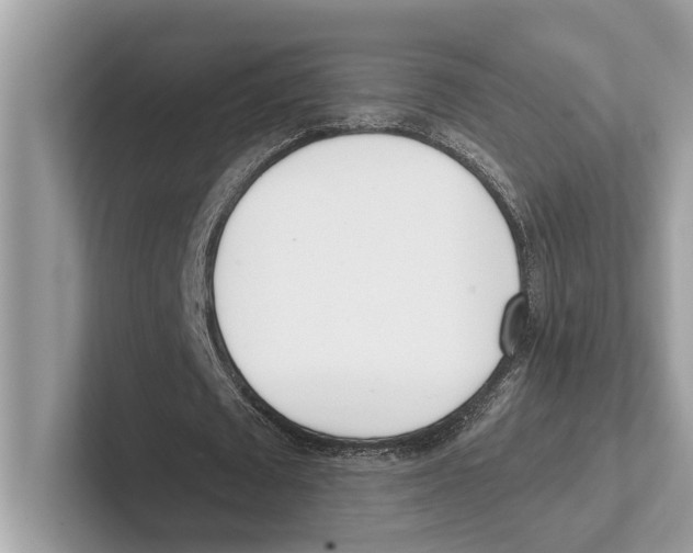 X0000100910673200807220951