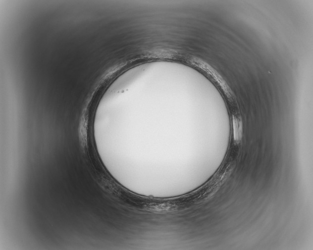 X0000100910675200807220951