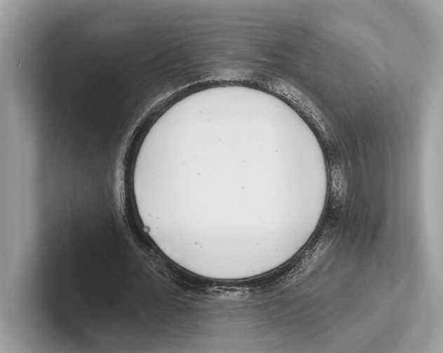 X0000100910676200807220951