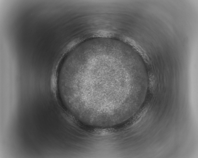 X0000100910679200807220951