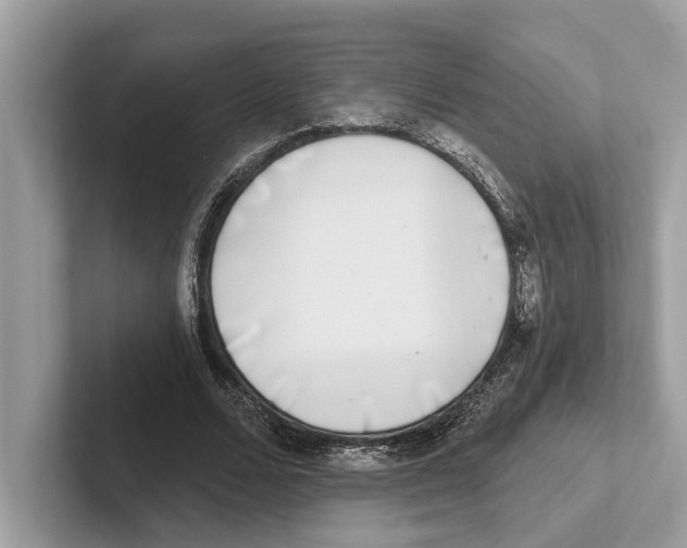 X0000100910680200807220951