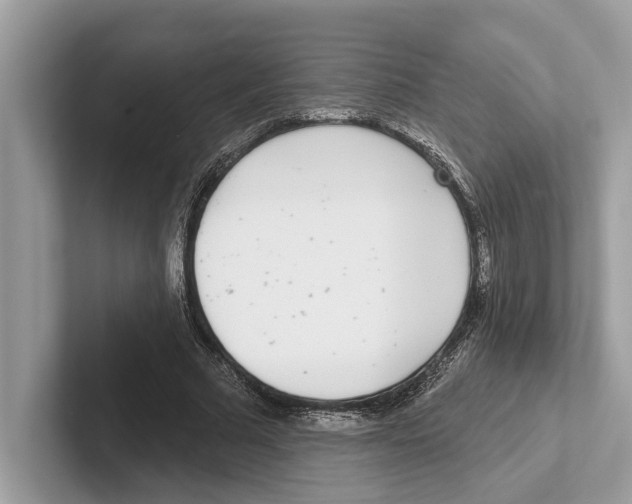 X0000100910681200807220951