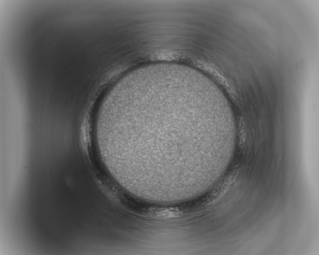 X0000100910683200807220951