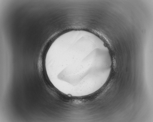 X0000100910684200807220951