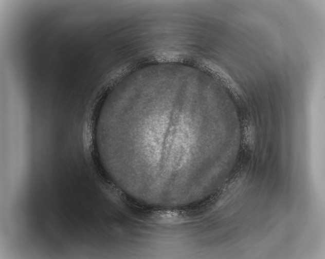 X0000100910687200807220951