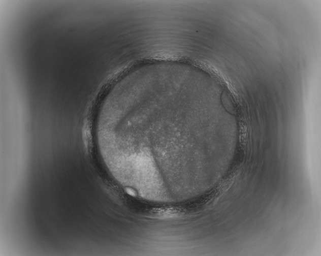 X0000100910688200807220951