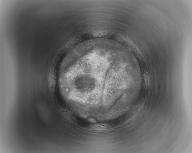 X0000100910691200807220951