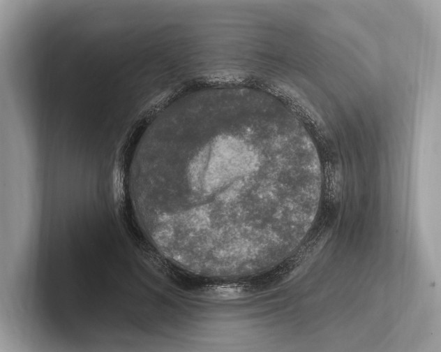 X0000100910692200807220951