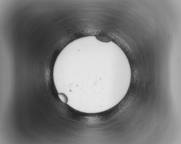 X0000100910693200807220951