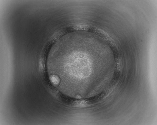 X0000100910695200807220951