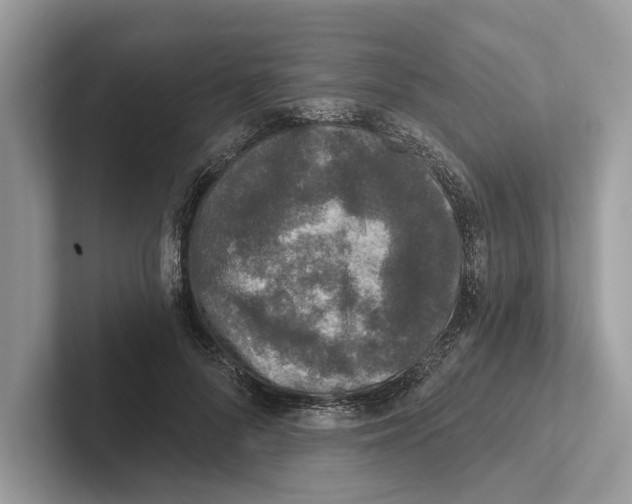 X0000100910696200807220951