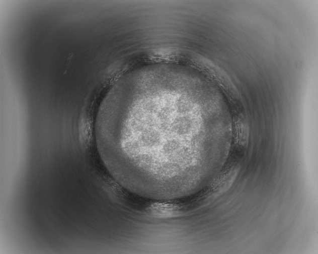 X0000100910699200807220951