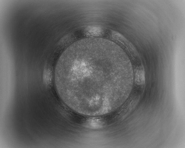 X0000100910701200807220951