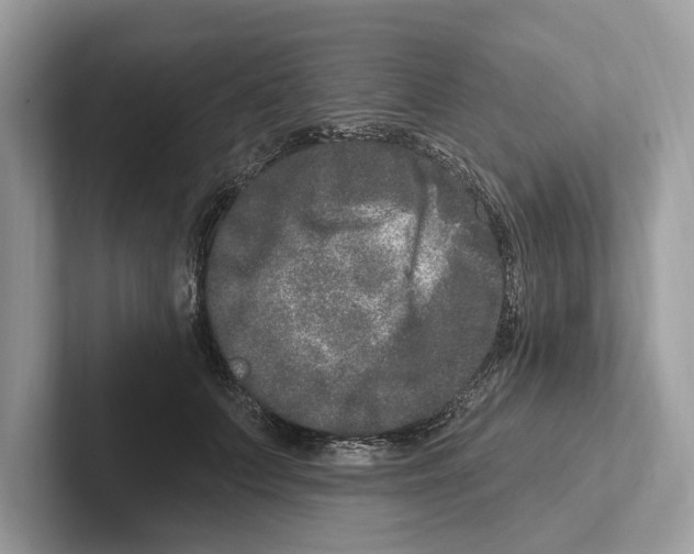 X0000100910703200807220951