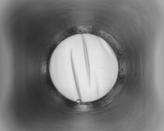 X0000100910706200807220951