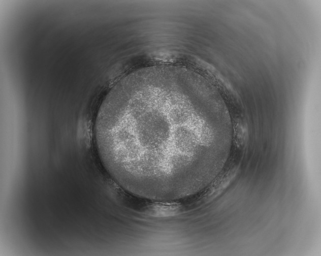 X0000100910707200807220951