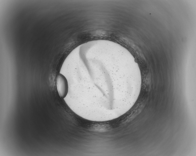 X0000100910708200807220951