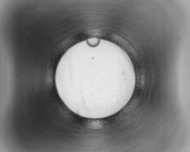 X0000100910710200807220951