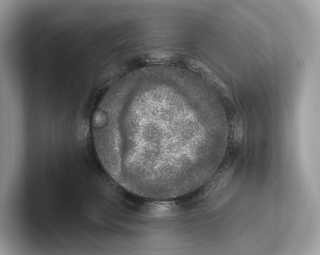 X0000100910711200807220950