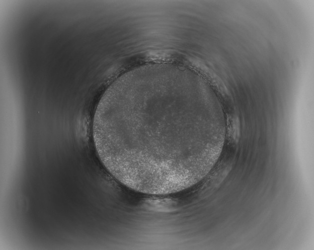 X0000100910712200807220950