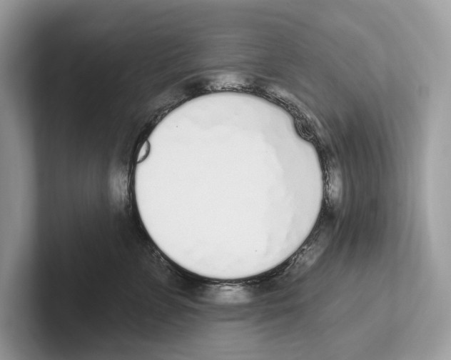 X0000100910715200807220950