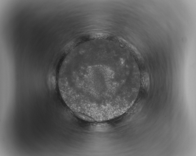 X0000100910716200807220950