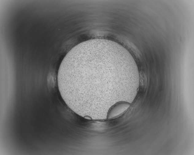 X0000100910718200807220950