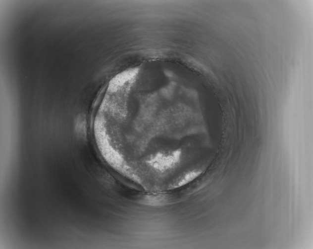 X0000100910720200807220950