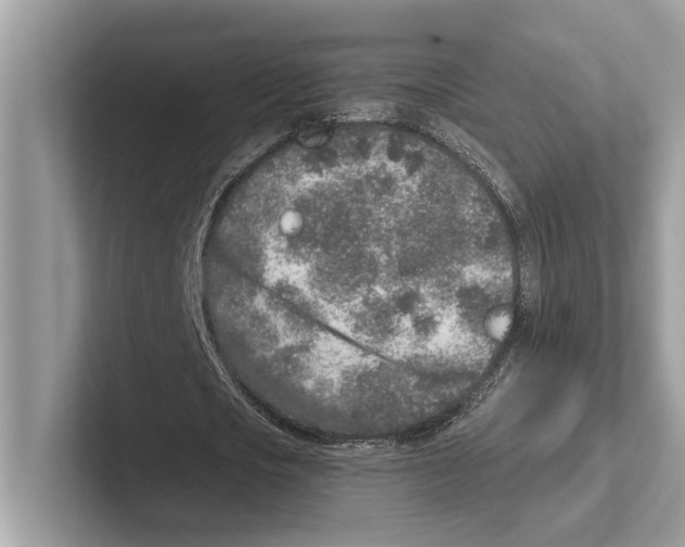 X0000100910721200807220950