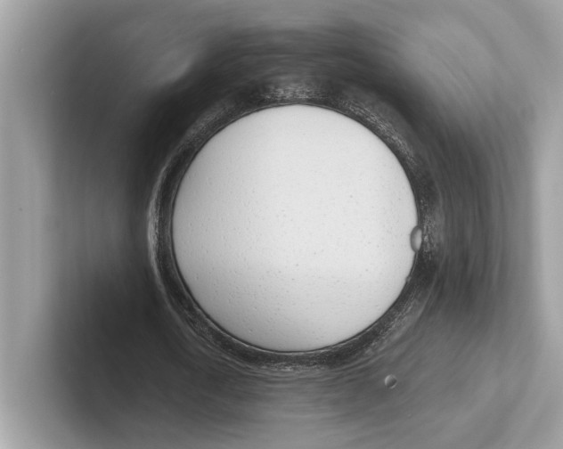 X0000100910722200807220950