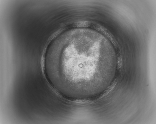 X0000100910725200807220950