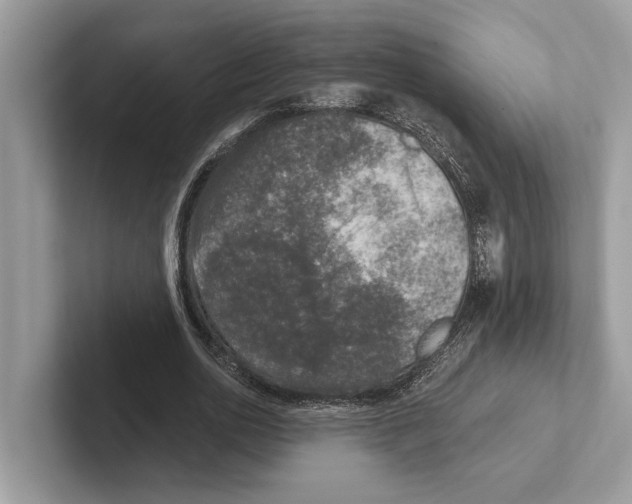 X0000100910726200807220950