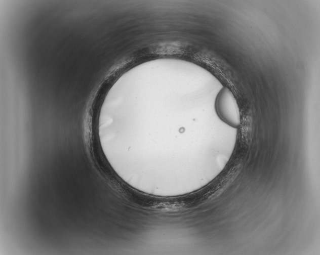 X0000100910727200807220950