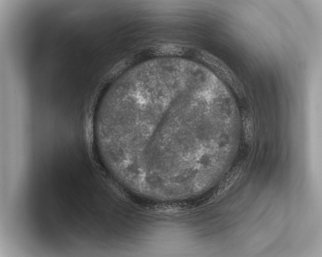 X0000100910729200807220950