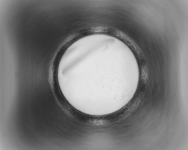 X0000100910730200807220950