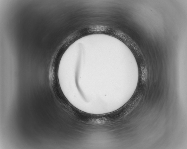 X0000100910731200807220950