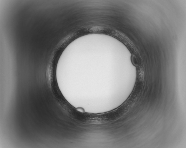 X0000100910732200807220950