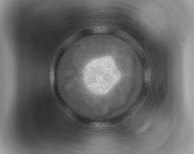 X0000100910733200807220950