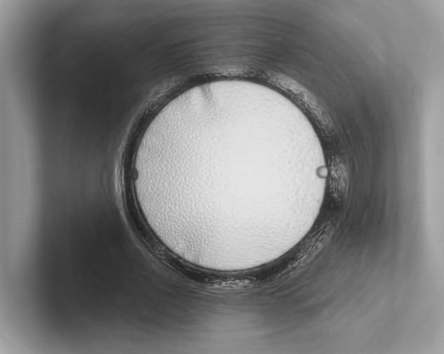 X0000100910734200807220950