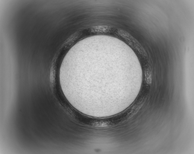 X0000100910735200807220950