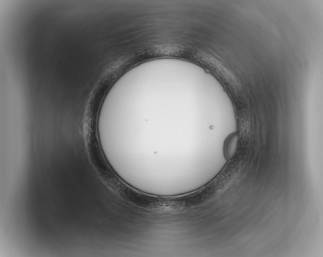 X0000100910736200807220950