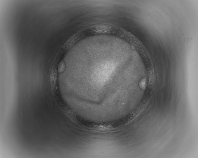 X0000100910737200807220950